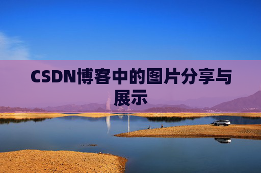 CSDN博客中的图片分享与展示